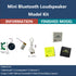 Mini Bluetooth Loudspeaker Model Kit