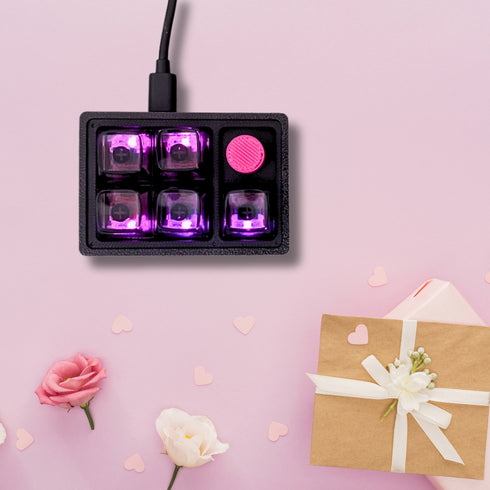 Custom Keypad Model Kit